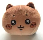 ひかるの画像