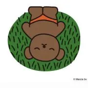 かっちの画像
