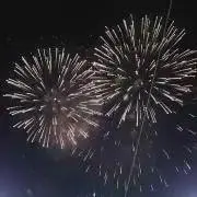 ポランコの画像