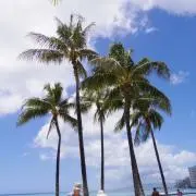 Mの画像