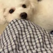 (^^)の画像