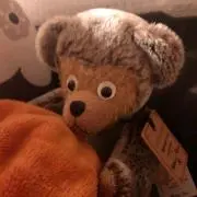 くますけの画像