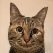 camcamの画像