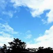 モク※プロフご覧くださいの画像