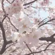 あみ☆の画像