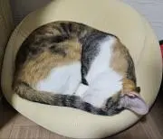 うみ