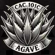 CAC.101c