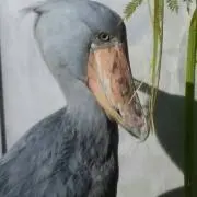 のりかの画像