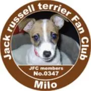 milo