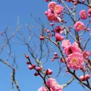 りぃ(雑貨断捨離中)の画像