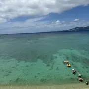 ブルーノの画像