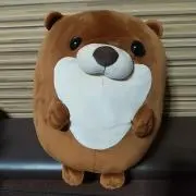 こっつんの画像