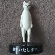 おもちの画像