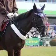 シャイン〜発送はお盆明けになりますの画像