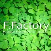 F.Factoryの画像
