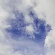 発送しています☆の画像