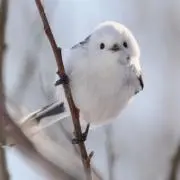 ruuta♡