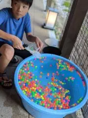 金子