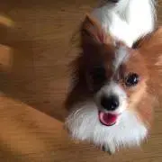 Yukaの画像