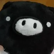 ほかほかにゃんこ