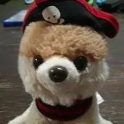 tomo(^o^)の画像
