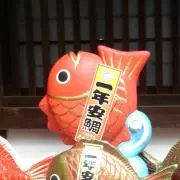 ころぽんの画像