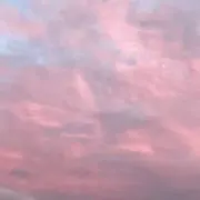 パジの画像