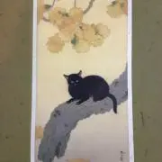 キムの画像