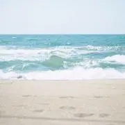 MERDENOMSの画像