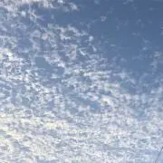 もかの画像