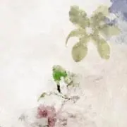エリスの画像