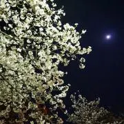 i-chan★の画像