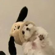 mの画像