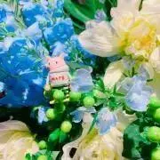 ヨーコ　オーダーメイドお休み中の画像