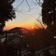すぐるの画像