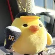 モリダー7の画像