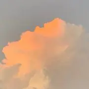 みーこの画像