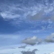 ちゃちゃの画像