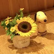 himawariの画像