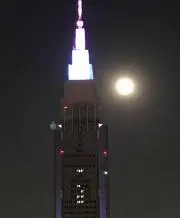 ルル