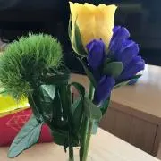hana11の画像