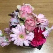 akoの画像