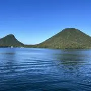 raku盆栽の画像