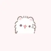 Rの画像