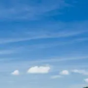 りんの画像