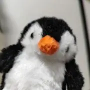 ペンギンの画像