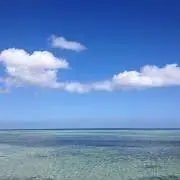 断捨離中の画像
