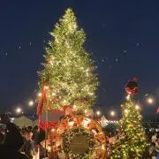 Noëlの画像