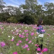 1599の画像