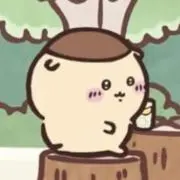 にしちゃんの画像